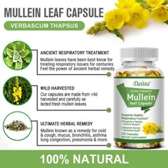 Healthfare Mullein Leaf Capsules Support Lung Cleanse Support Respiratory Health