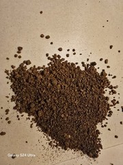 CHAGA “WILD” HARVESTED IN 2025 FROM CENTRAL MINNESOTA 8 ounces