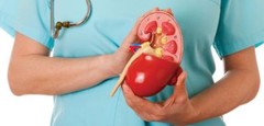 stone free – KIDNEY SUPPORT – kidney cleanse – 2 Bottles