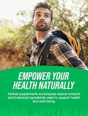 BulkSupplements Green Tea Extract 180 Capsules – 500 mg Per Serving