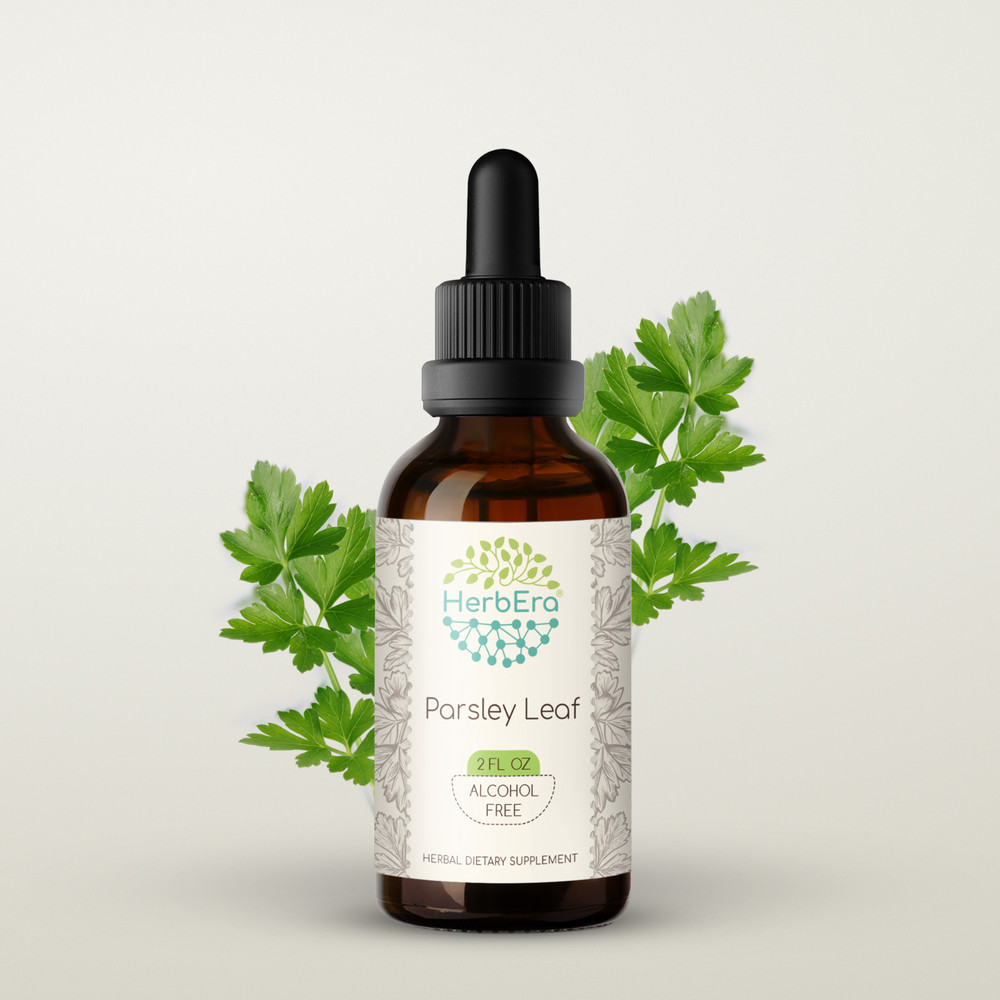 HerbEra Parsley Leaf Alcohol-FREE Tincture Organic (Petroselinum crispum)