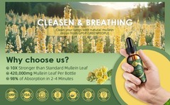 Mullein Leaf Extract Super Concentrated 420,000 MG 2 FL.OZ/60 ML Lung Cleanse