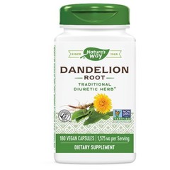 Dandelion Root 180 Caps by Nature’s Way
