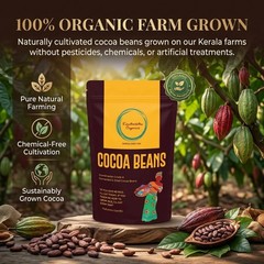 Karuthedathu Fermented Cocoa Beans Swiss Chocolate Grade Whole Cacao 100g