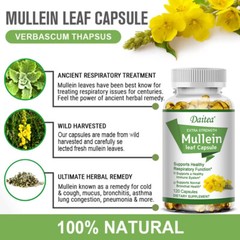 Mullein Leaf Supplements Supports Lung Cleanse Respiratory Function 120 Pills