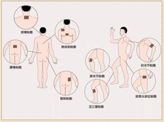 Self-Heating Wormwood Artemisa Mugwort Moxibustion Moxa Pain Relief 10pc 自发热 艾灸贴