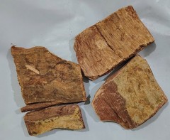 ARJUNA BARK WHOLE Terminalia Arjuna, Arjun tree bark whole FREE SHIP