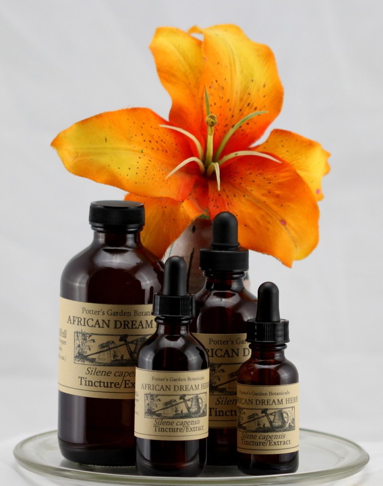 AFRICAN DREAM ROOT Awakening Journey Lucidity Spirit Wildcrafted FOLK Tincture