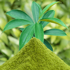 Organic Insulin Plant Leaf Powder |Pure Costus Igneus Herbal Blood Sugar Support