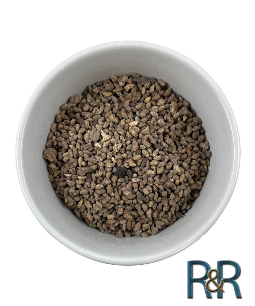 Voacanga WHOLE SEEDS African ORGANIC – Free Shipping + USA SHIP + FRESH HARVEST