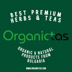 MISTLETOE Herb Viscum Album Tea Organic Dried Loose Herbal Infusion Top Quality