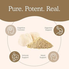 Organic Lion’s Mane Mushroom Powder 2.11Oz Brain Immune Support Vegan Gluten …