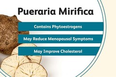 2x Pueraria Mirifica Increase Firm Bust Size Bigger Breast Enhancement 120 Pills