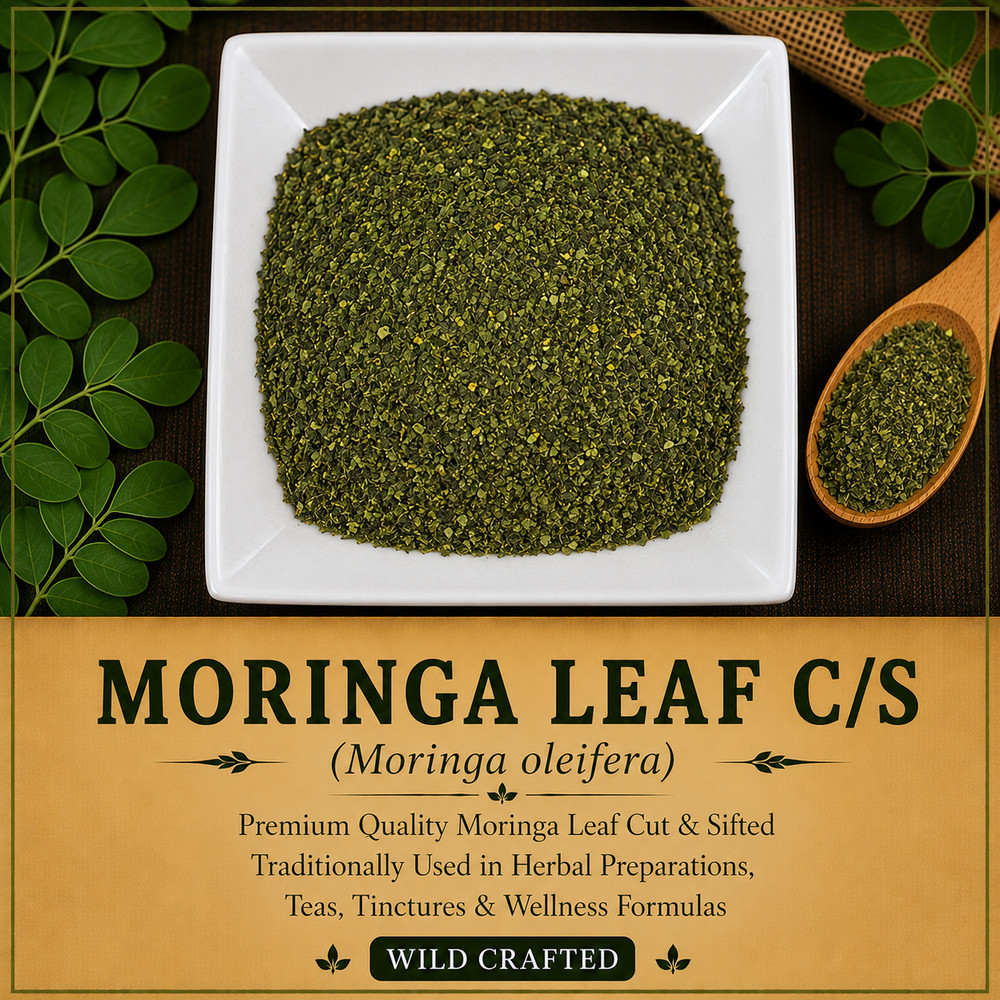 Moringa Leaf C/S Wild Crafted Moringa oleifera Premium Herbal Tea | USA | Fresh