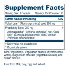 Ayush Herbs MacunaPlus Cognitive Support 60 Veggie Capsules – Newest Expiration!
