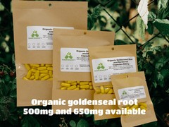 Organic Goldenseal Root and Berberine (Hydrastis canadensis) 500mg and 650mg