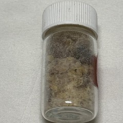 Frankincense Gum Resin – Small Bottle – Pale Yellow & Amber Tears – Unbranded