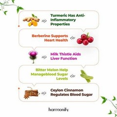 Harmonify Berberine Complex 1000mg with Ceylon Cinnamon 120 Veggie Capsules USA