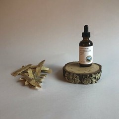 ASTRAGALUS ROOT – TINCTURE