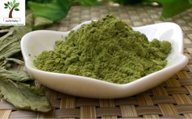 Thai Herbal 100% Stevia Powder | Natural Sweetener for Drinks & Food