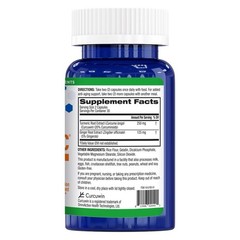 AGELESS TURMERICe— OPTIMIZED CURCUMIN SUPPLEMENT 12/26