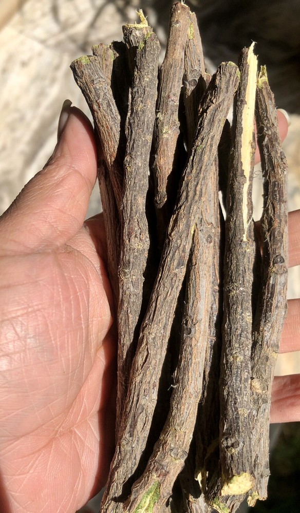 20 Pc Neem Sticks Azadirachta Indica Sticks DATUN for Teeth and Gums FREE SHIP