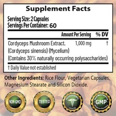 Cordyceps Extract 1000mg Capsules Improve Endurance & Strength Boost Energy