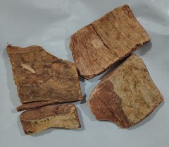 ARJUNA BARK WHOLE Arjuna, Arjun Chaal bark whole FREE SHIP-100gm