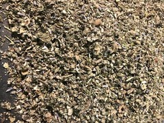 No.31 Mix – Clove Mint Skullcap Mullein Coltsfoot Lavender Raspberry – 4 Ounces
