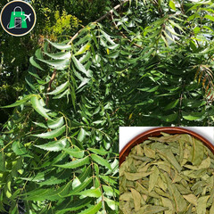 Organic Dried Neem Leaves 50g to 1kg Natural Herbal Remedy for Health & Wellness