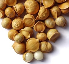 HILLS ORGANICS Kashmiri Garlic 500 gm | Natural Single Clove Lehsun | Snow Mount