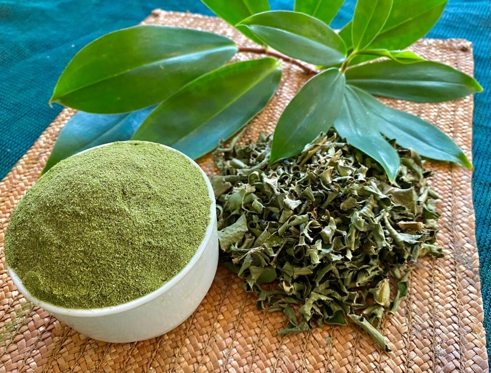 Dried ceylon thebu leaves costus natural insulin plant organic diabetic tea 25g