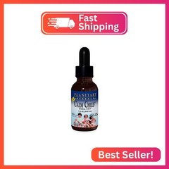 Planetary Herbals Calm Child 2.5 ml Supports Calm Focused Attention – 1 Fluid oz