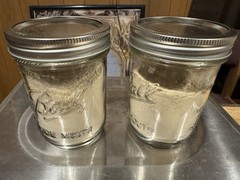 Wild American Ginseng Powder 16.4% Ginsenosides 164 mg/g Lab Tested
