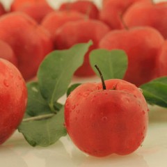 ACEROLA powder berry fruit 4oz 8oz 16oz 1lb 32oz 2lb 3lb 4lb 8lb 55lb PAJE BRAND