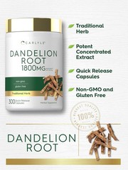 Dandelion Root Capsules 1800mg | 300 Count | Non-GMO | by Carlyle