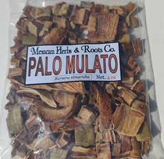 Palo mulato bursera simaruba naked indian mulatto stick jiñocuabo gumbo limbo