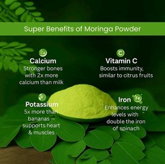 Concentrated Moringa Powder – Daily Wellness Essential for Energy & Metabolism