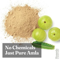 Organic Amla Powders USDA Organic Amalaki Non-GMO Raw Natural