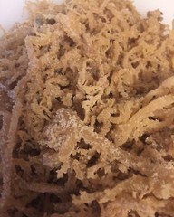 Sea Moss, Irish Moss Bulk unbranded 5 Lbs. Natural and fresh. Quality brand.