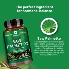 Saw Palmetto 500mg – Male Prostate and Urinary Tract Health, Prevent Hair Loss