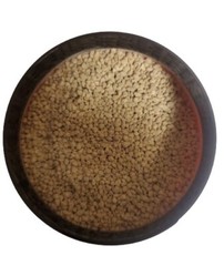 Bee Date Palm Pollen Granules Pure Natural Source of Vitamins & Protein 250g