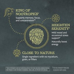Sunwarrior Lions Mane Supplement Organic Mushroom Powder Lion’s Mane, 5.3 oz