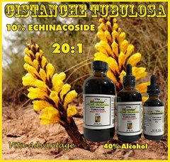 CISTANCHE TUBULOSA HIGH POTENCY 20:1 EXTRACT LIQUID TINCTURE 2oz, 4oz, 8oz
