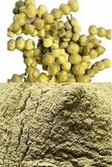BABOOL Phali Powder, Vachellia Nilotica, Acacia Nilotica for Joint Pain Relief