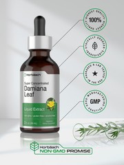 Damiana Liquid Extract | Alcohol Free | 2 fl oz | Vegetarian | by Horbaach