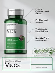 Horbäach Maca Root Capsules for Men and Women | 120 Pills | High Potency Extract