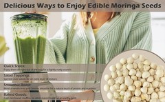 Moringa Seeds Kernel Shelled 16 oz. / 1 lb. – Clean PKM1 Variety – Edible –