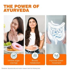 Himalaya Wellness AyurSlim Capsule (180 Capsules) Free Shipping q769