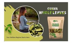 Guava Whole Dry Leaves 75 Grams – Hair Growth, Skin & Digestive Support